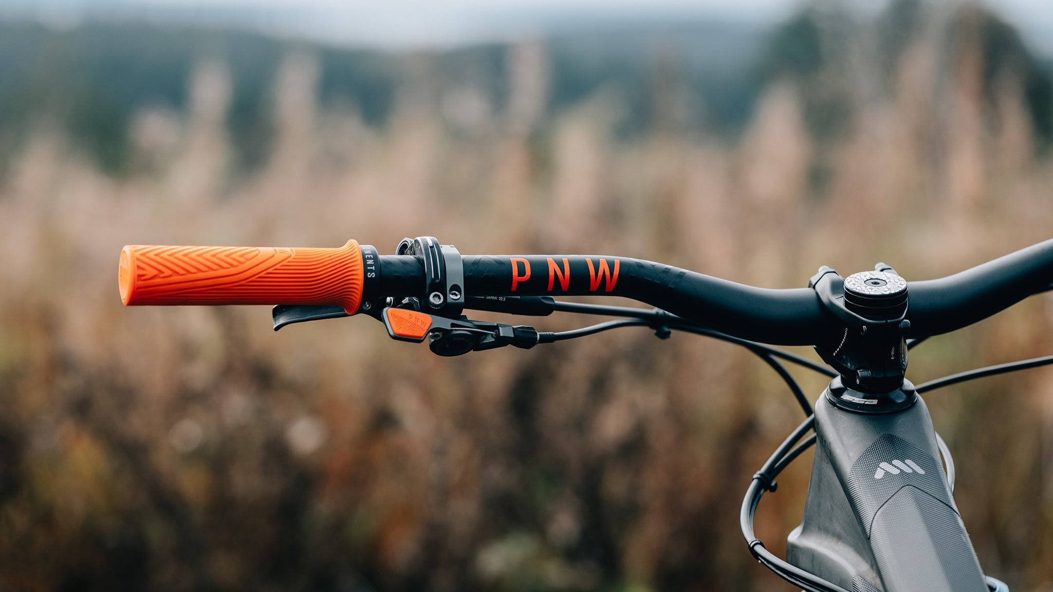 pnw-components_1758218056