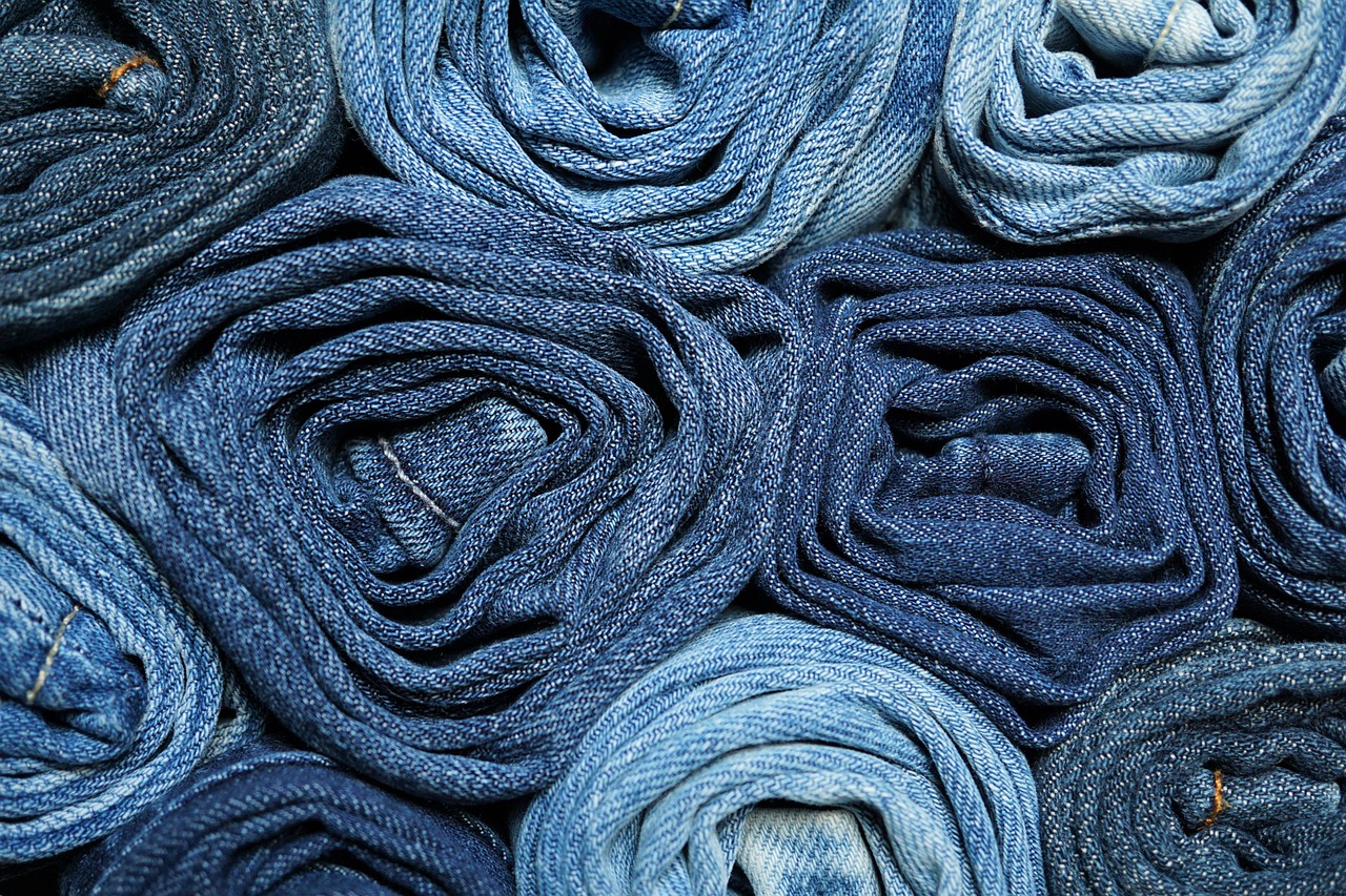 Jeans, pants, clothing — Finding the Latest Fashion For Your Chihuahua