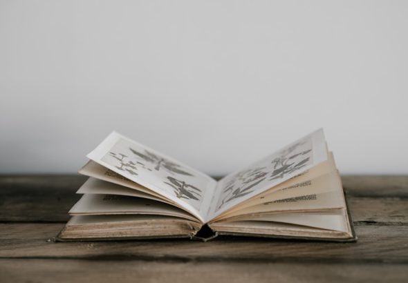 An open book with illustrated pages resting on a wooden table