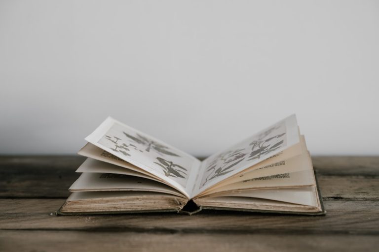 An open book with illustrated pages resting on a wooden table
