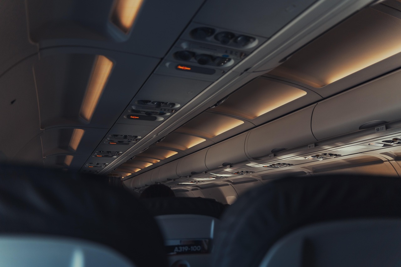 Travelling, travel, holiday — Universal Traveling and Your Health